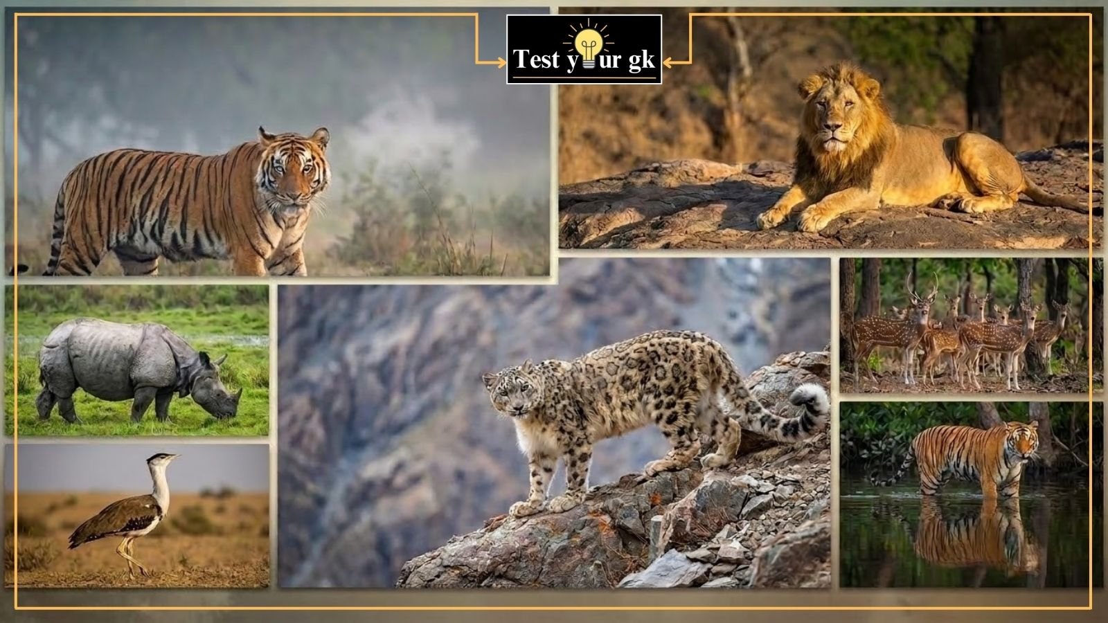 List of all national parks in India state-wise map 2026