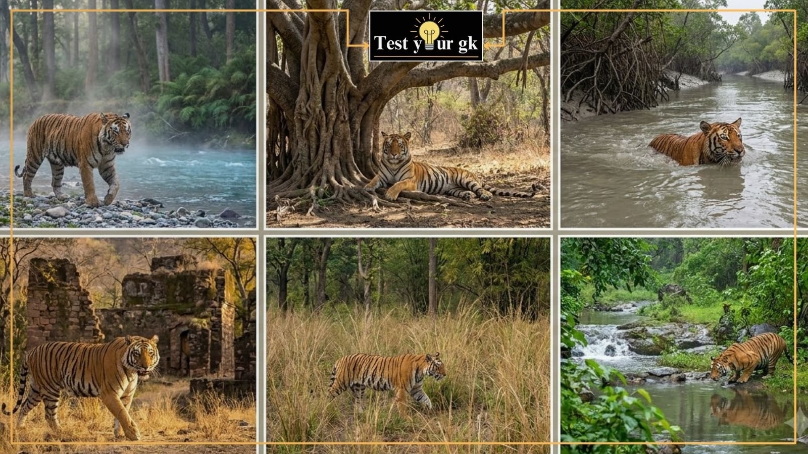 List of Tiger Reserves in India 2026 – State-wise Tiger Reserve Map